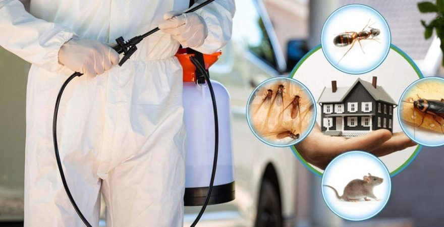 Çan Böcek İlaçlama