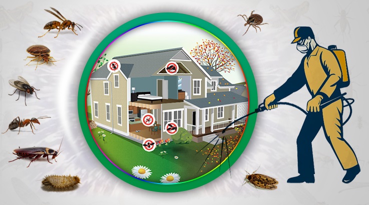 Çan Böcek İlaçlama