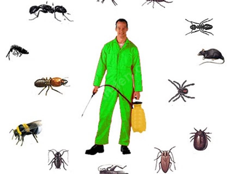 Çan Böcek İlaçlama